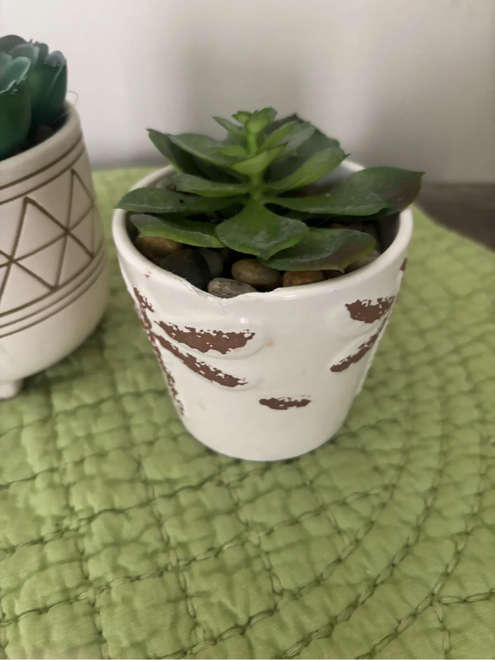 White Ceramic Planter with Green Succulent - Decorative Home Accent